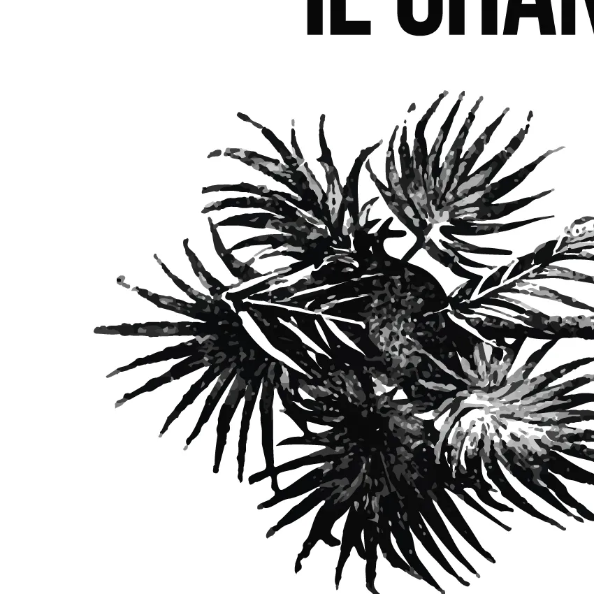 T-shirt Griot - shop b.