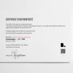 Certificat Ceci n'est pas une tong
