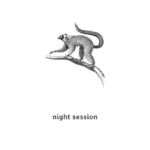 Visuel Nignt session