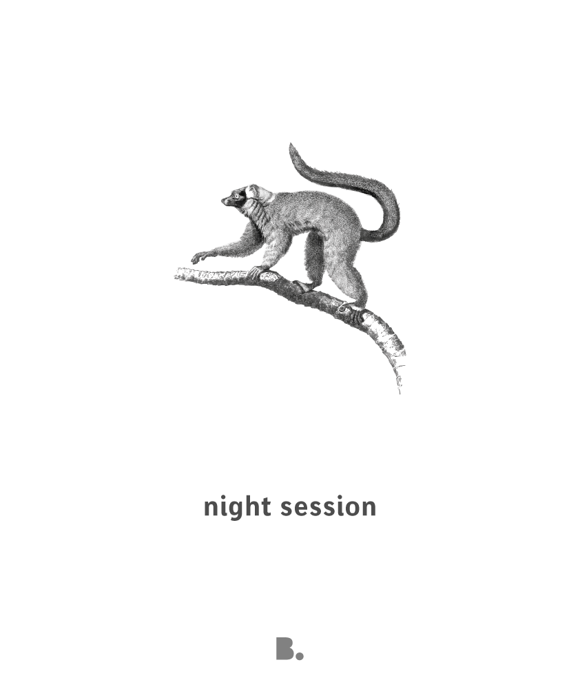Visuel Nignt session