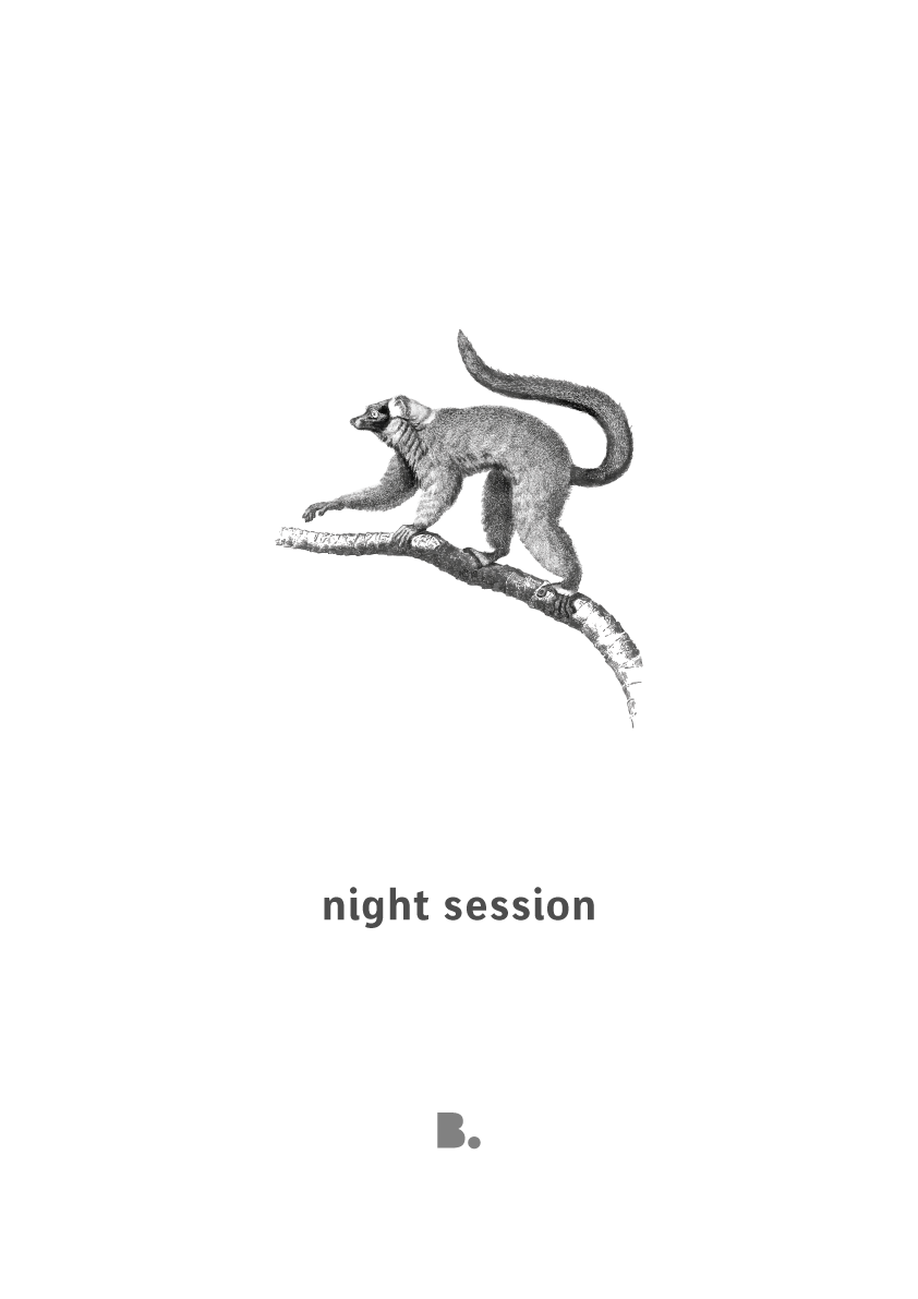 Visuel Nignt session