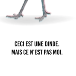 Détail ceci est une dinde