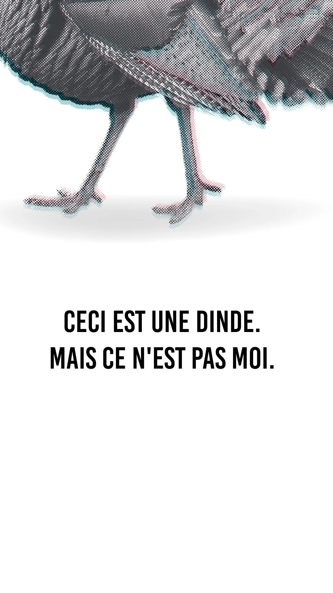Détail ceci est une dinde
