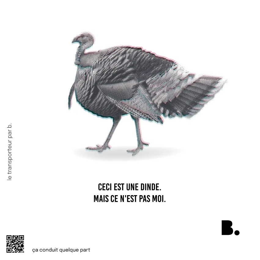 Totebag Ceci est une dinde