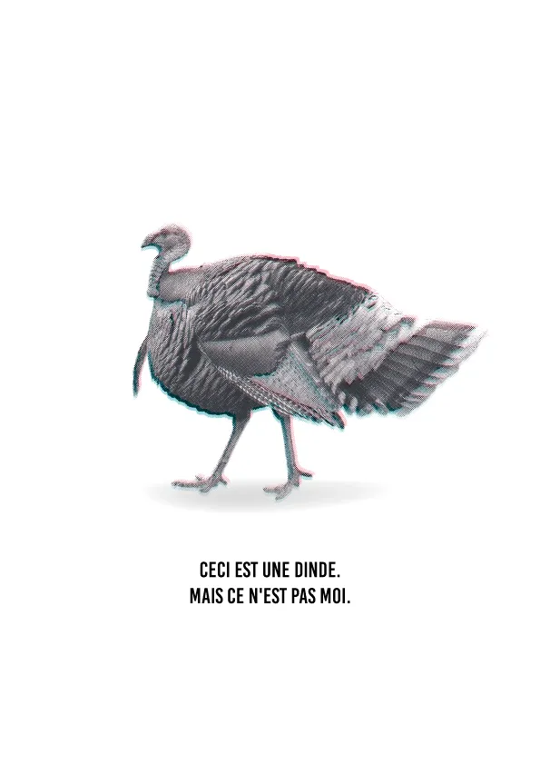 Visuel Ceci est une dinde