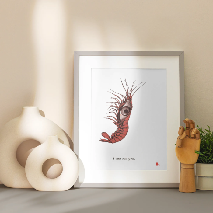 I can sea you - Face b. - Shop b.