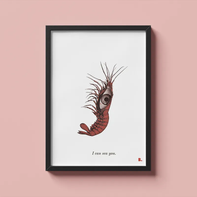 faceb_se-you-r I can sea you - Affiche