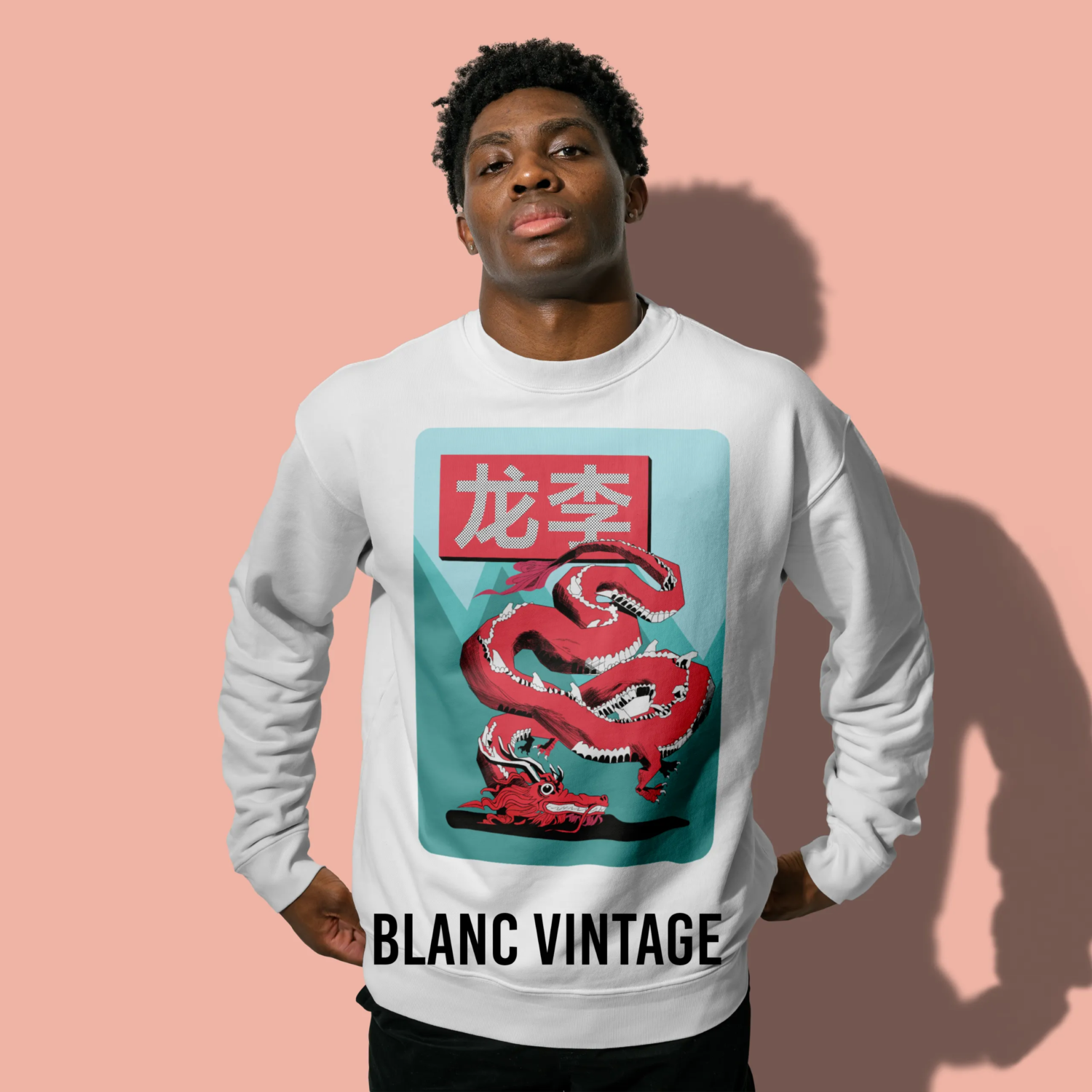 Sweatshirt Dragon - shop b.