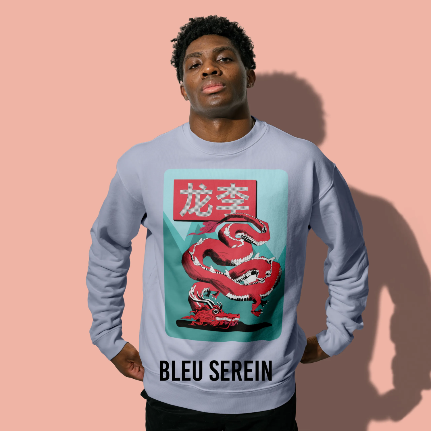 Sweatshirt Dragon - shop b.