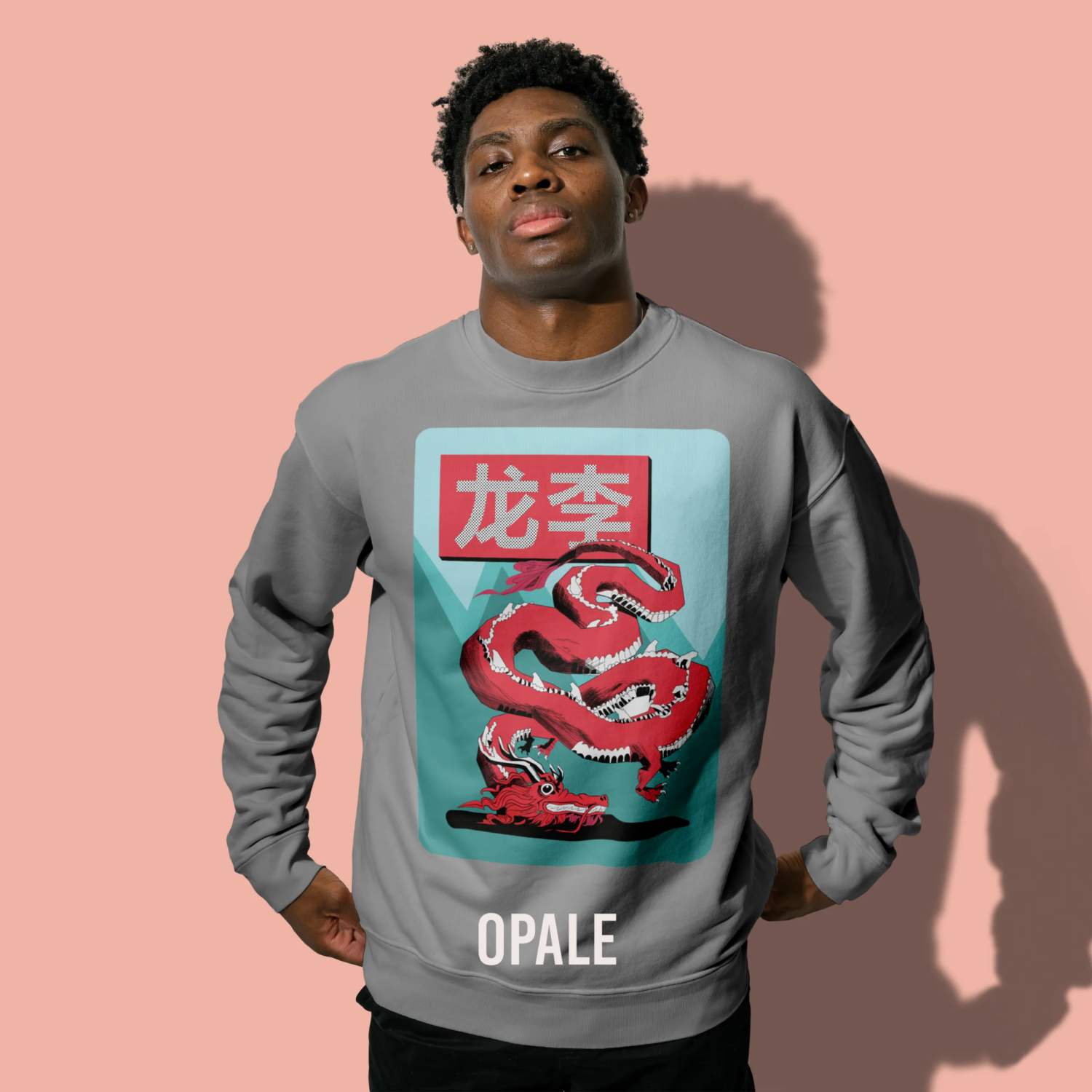 Sweatshirt Dragon - shop b.