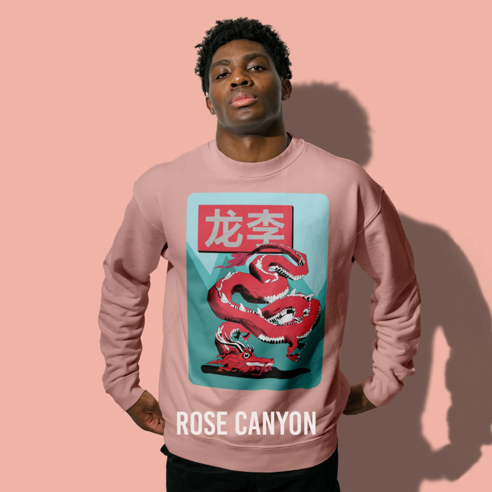 Sweatshirt Dragon - shop b.