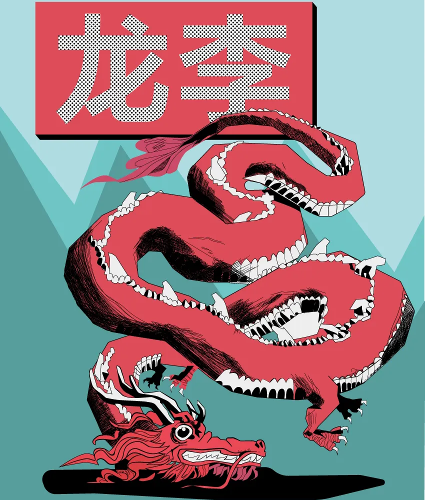 T-shirt Dragon - shop b.